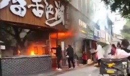 各大餐厅爆料视频合集下载,美食背后的故事与真相