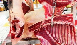 萌总娱乐吃瓜汇,揭秘娱乐圈幕后故事，带你领略明星们的真实生活