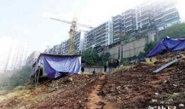 重庆奉节县爆料案件最新,案情细节及最新进展揭秘”