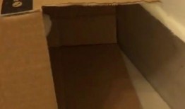 泡沫箱子爆料视频,爆料视频背后的惊人真相